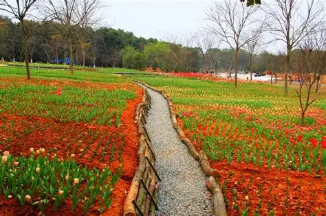 江西省凤凰沟风景区