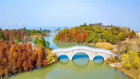 瑶湖郊野森林公园