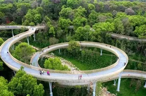 磨盘山森林公园