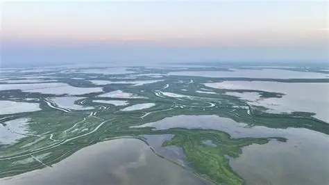 鄱阳湖国家自然保护区
