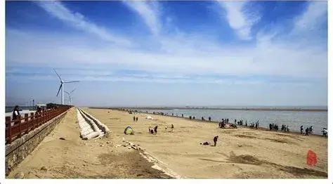 东部海堤黑沙滩
