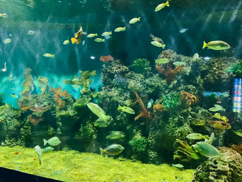 南通海底世界