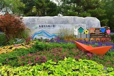 大运河森林公园