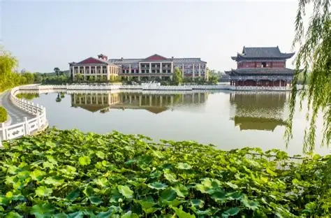 赊店酒乡小镇