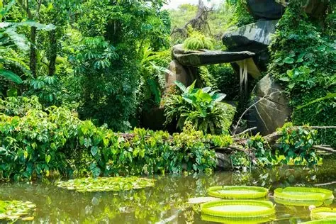 厦门植物园