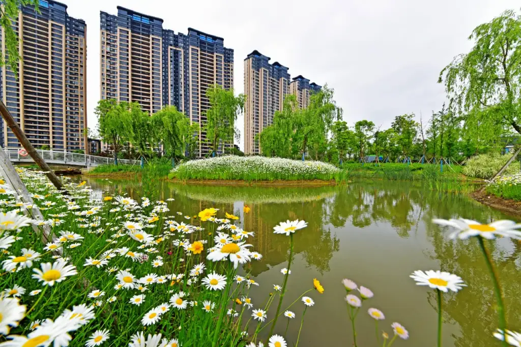 双鸭山滨水公园