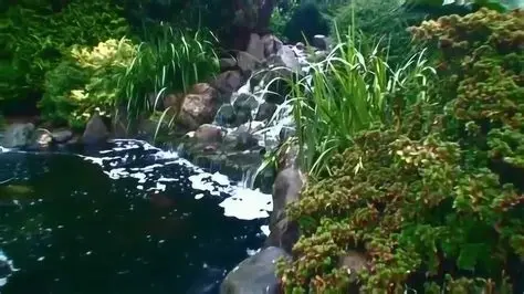 淡竹锦鲤潭