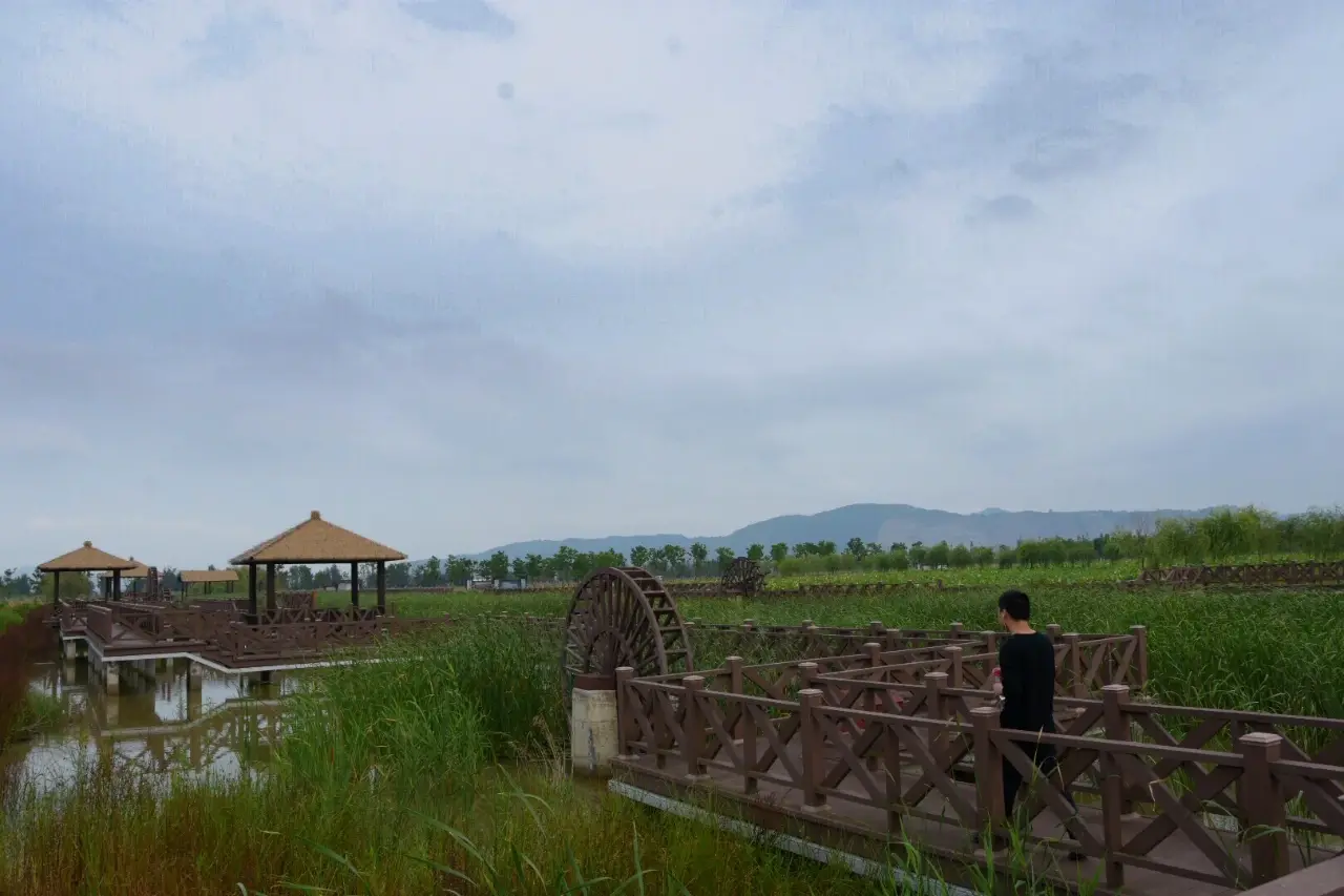 玉环漩门湾国家湿地公园