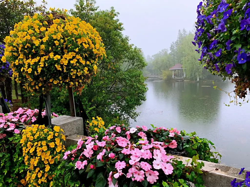 合肥植物园