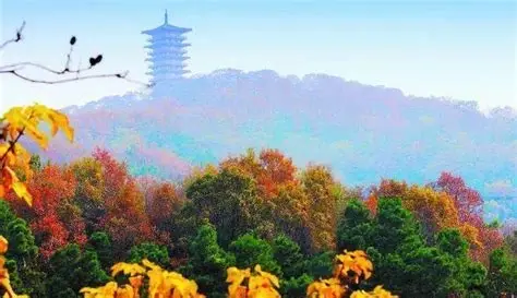 四顶山森林公园