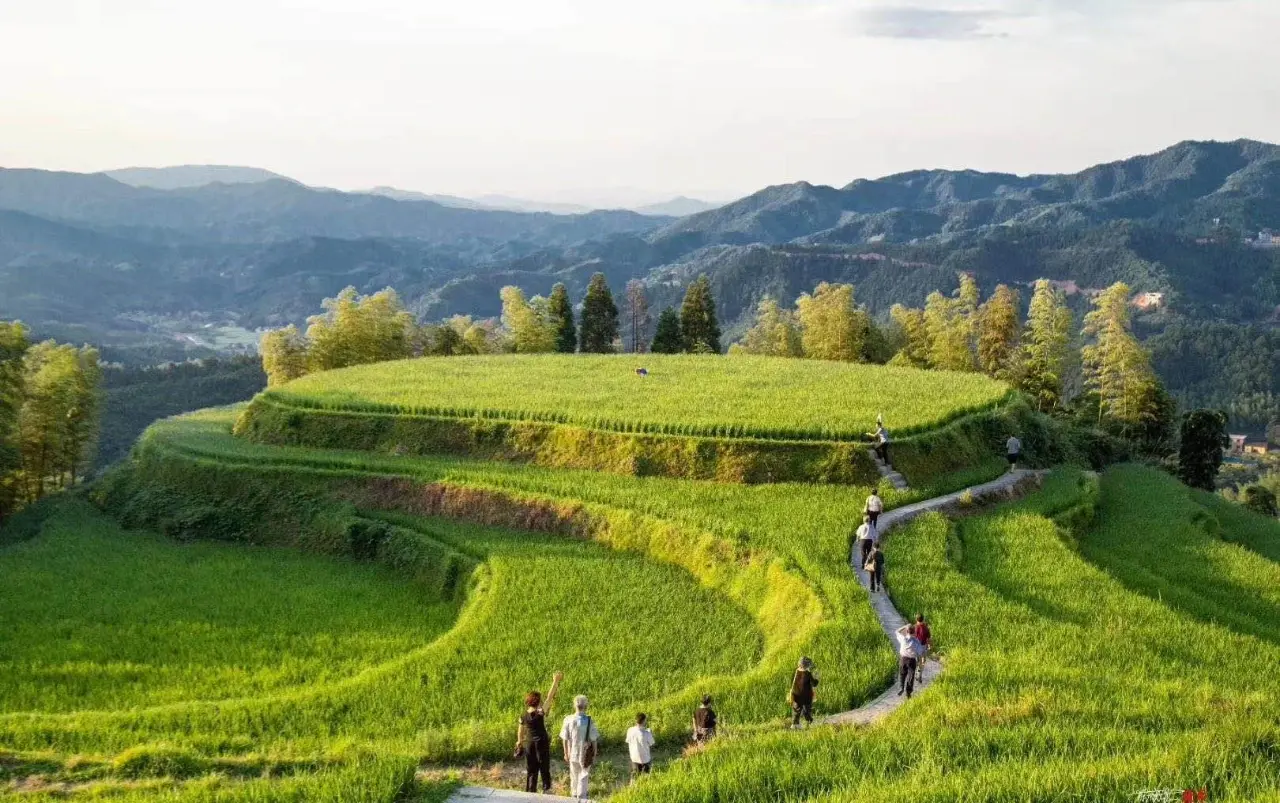 桃源梯田