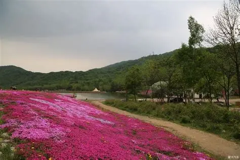 幽芳谷