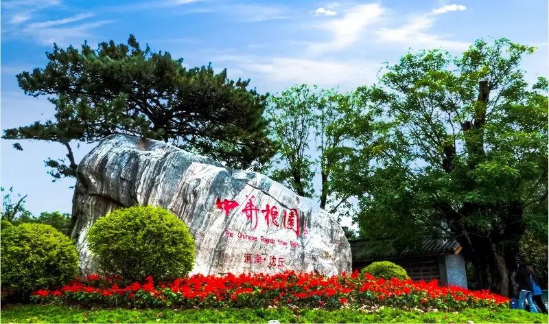 中华槐园