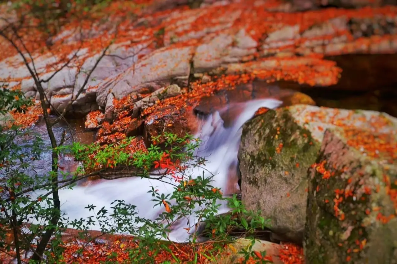 雾烟山风景区