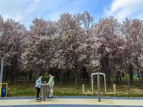 项城植物园