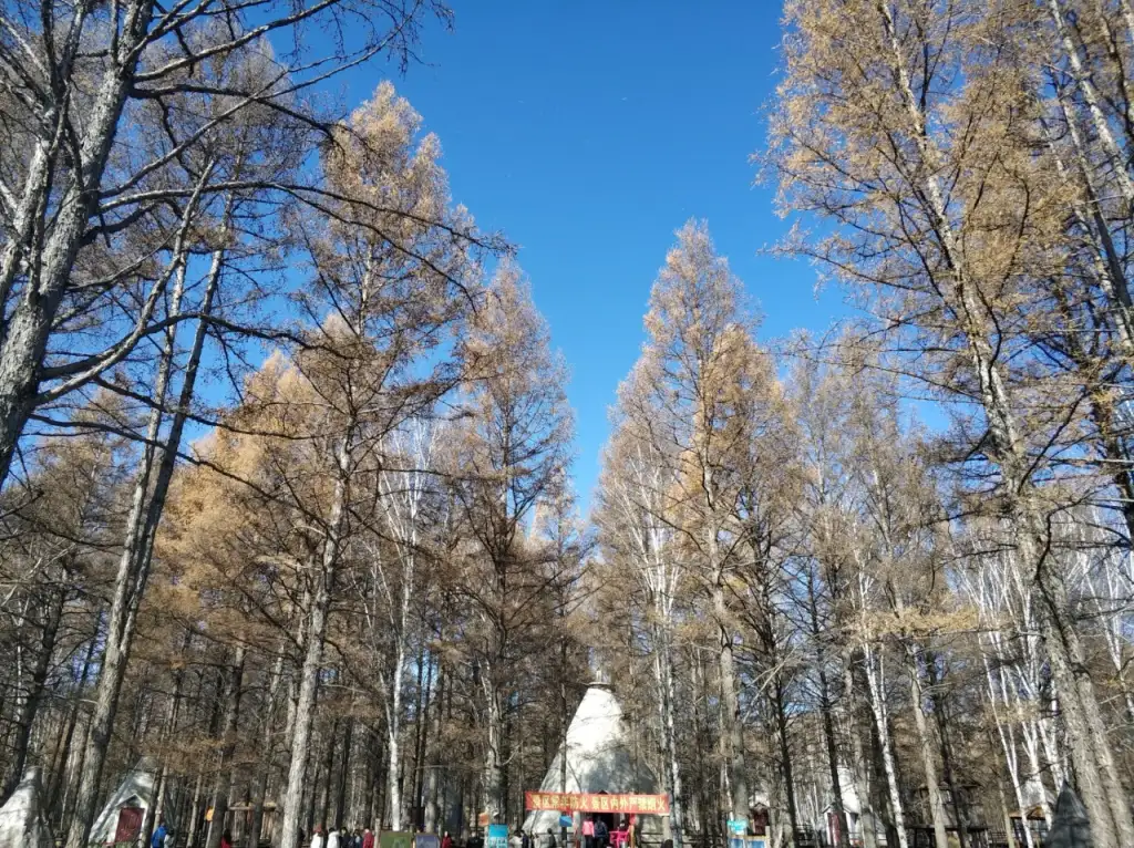 敖鲁古雅使鹿部落景区