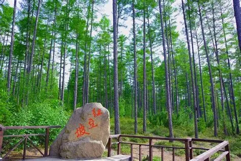 莫尔道嘎国家森林公园