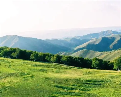 黄花窝铺高山草原