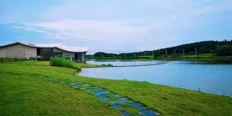 仙鹤湖湿地园