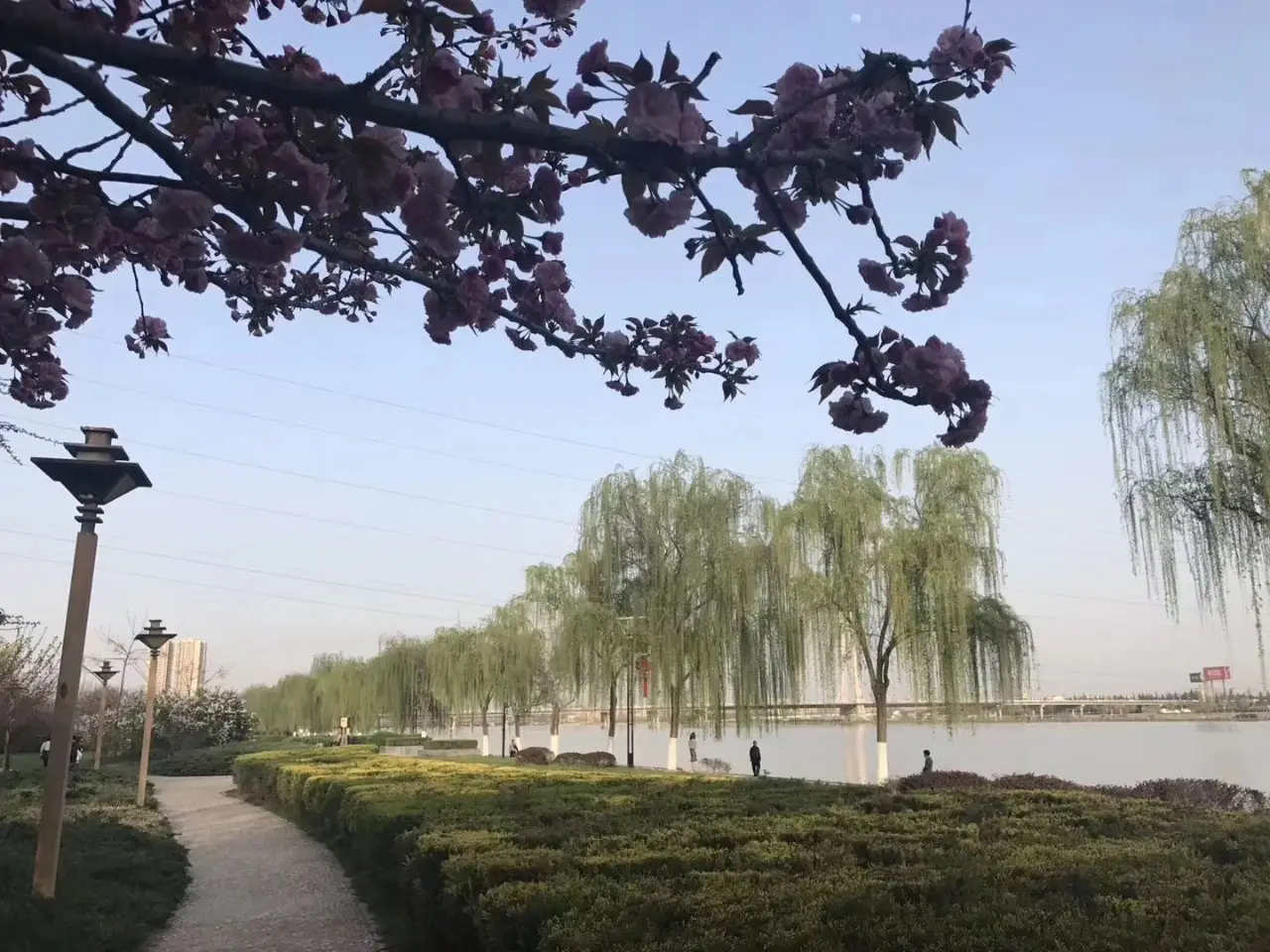侍郎湖生态旅游景区