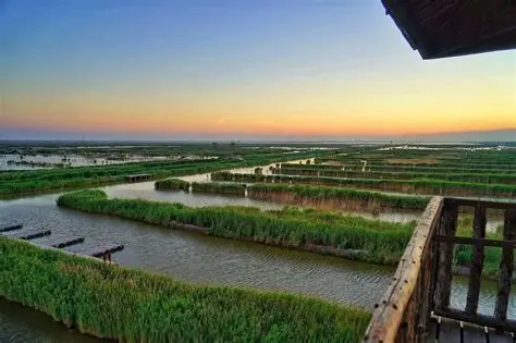 上关湖风景区