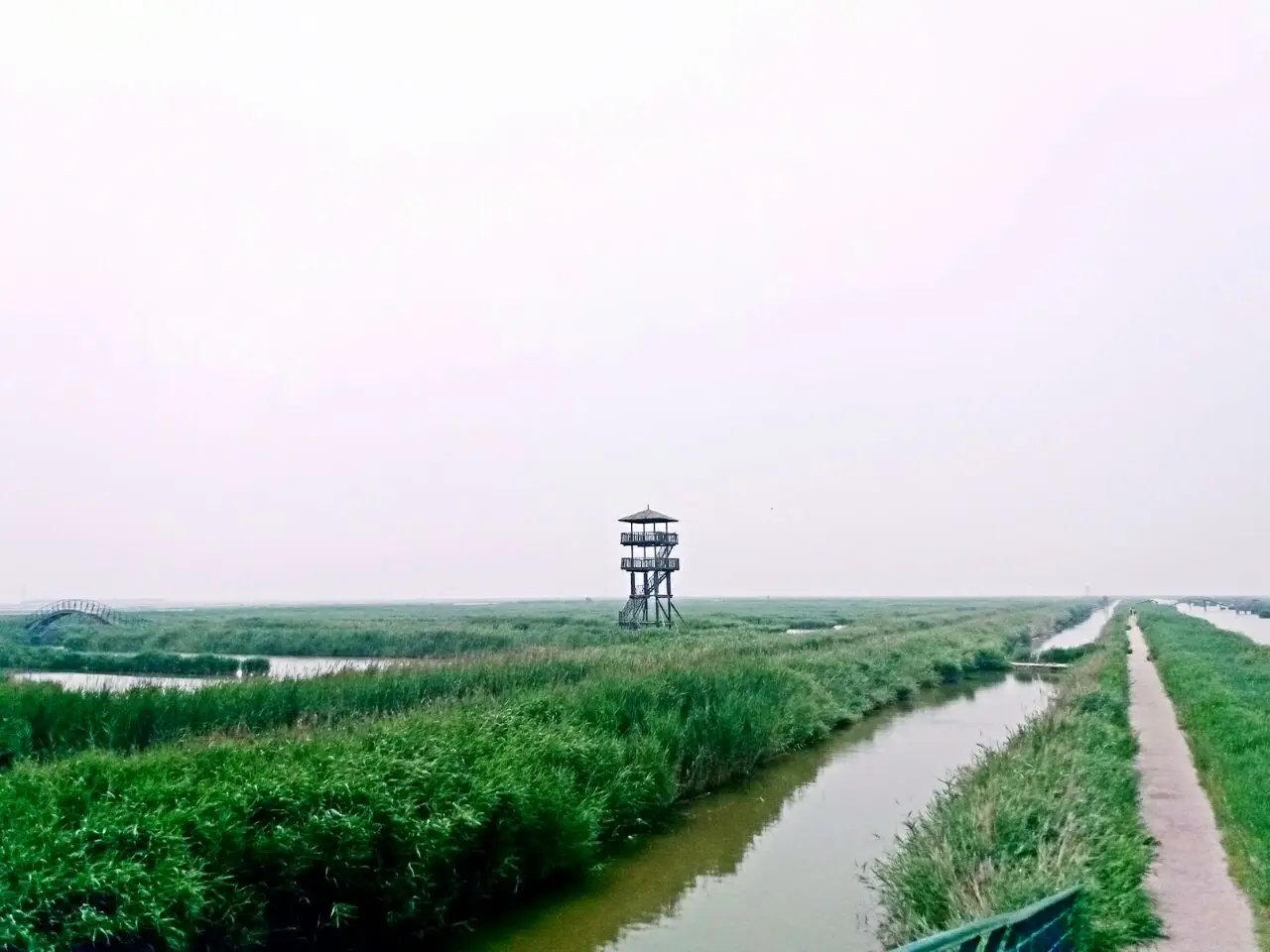 曹妃甸湿地