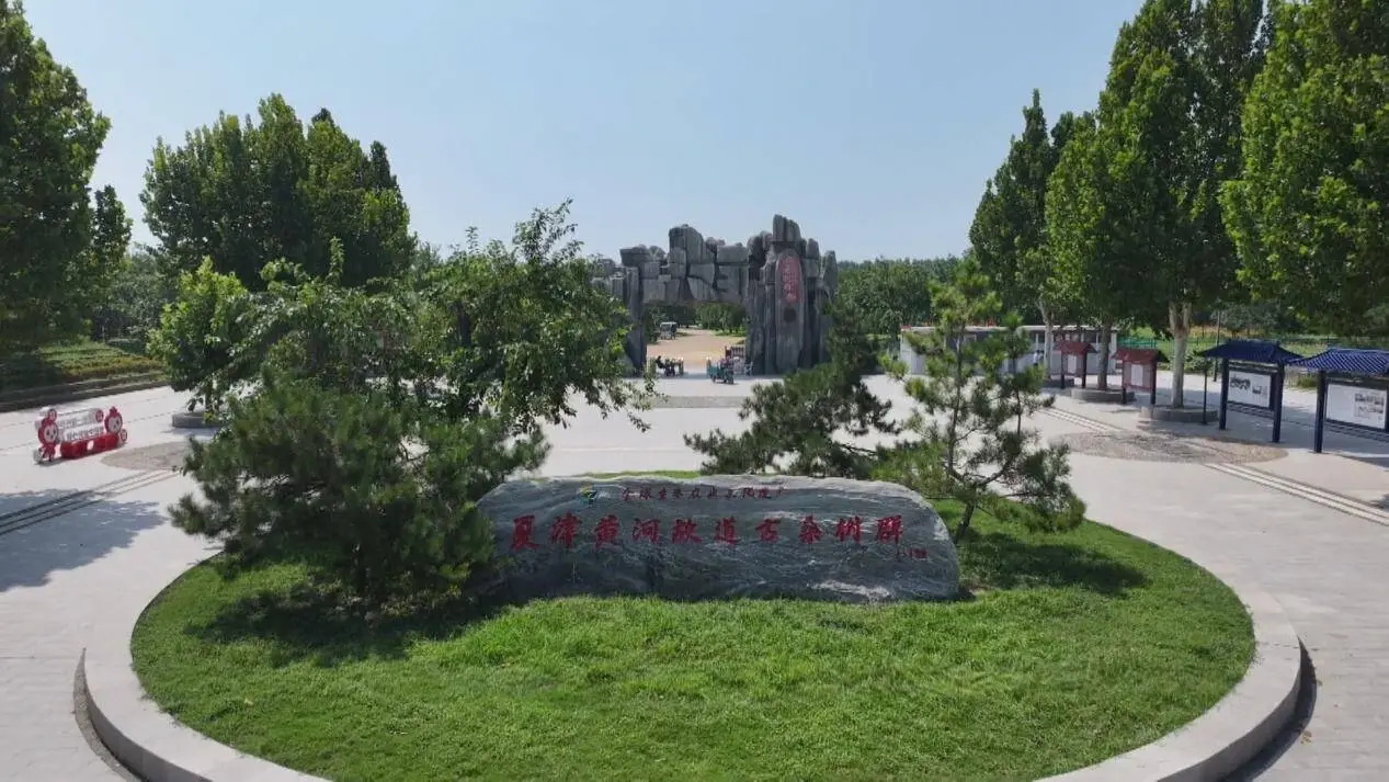 商丘黄河故道国家森林公园
