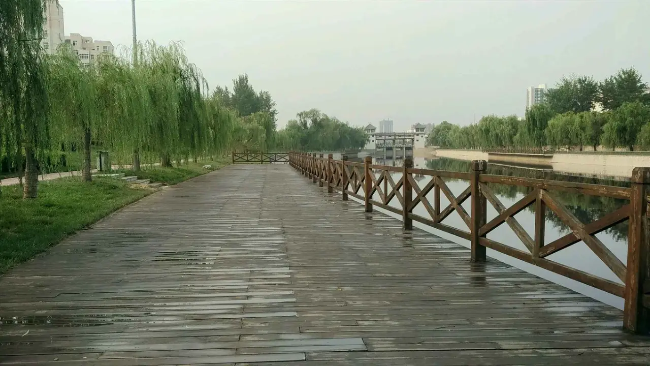 龙港湾景区