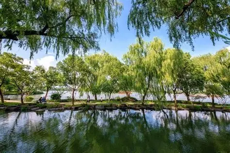 穆湖森林公园