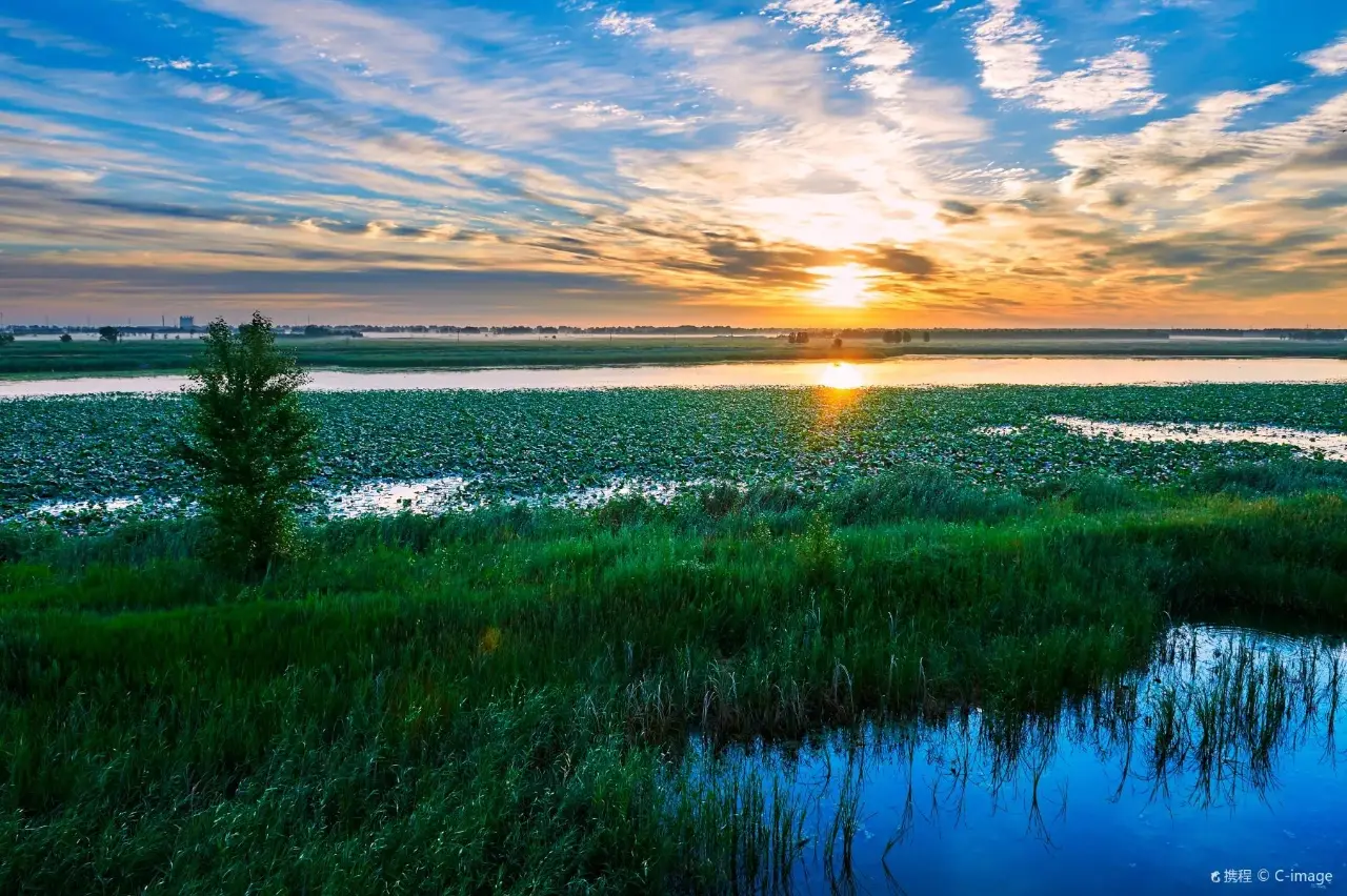 大庆湿地公园