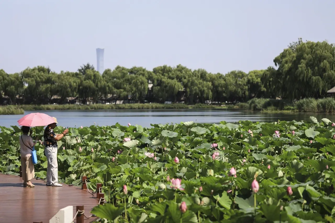 西海湿地公园