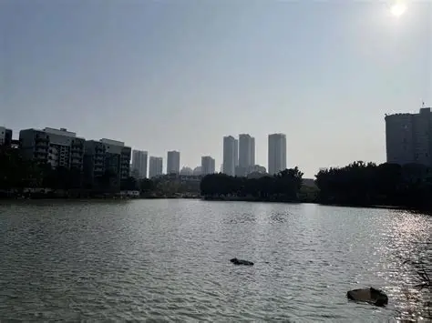 黎明湖公园