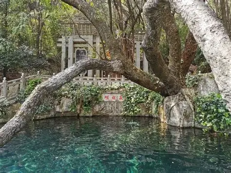 蝴蝶泉