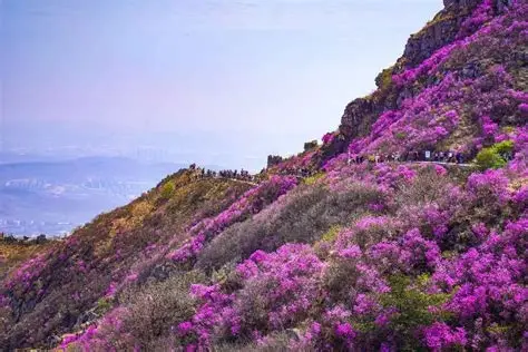 大黑山