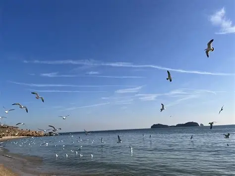 小付家庄海滩