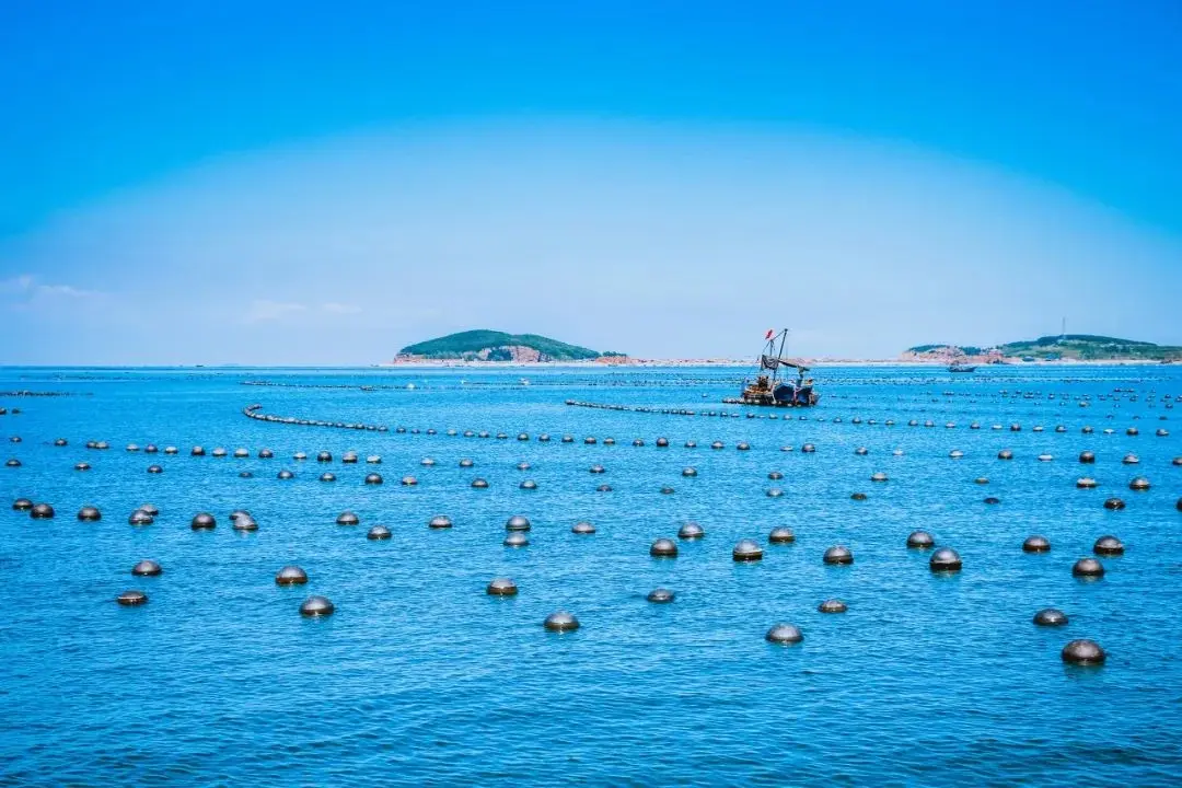 蛤蜊岛旅游度假区
