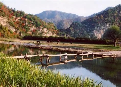 曲溪景区