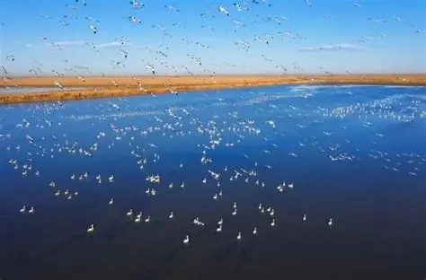七里海湿地