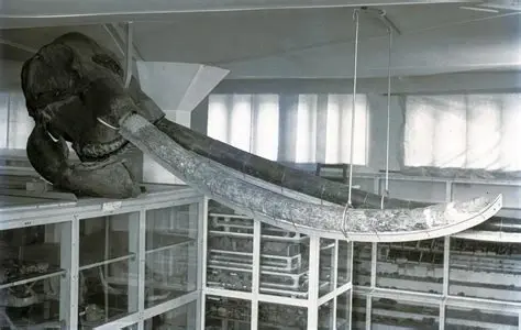 北疆博物院