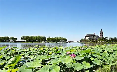 南湖·绿博园景区