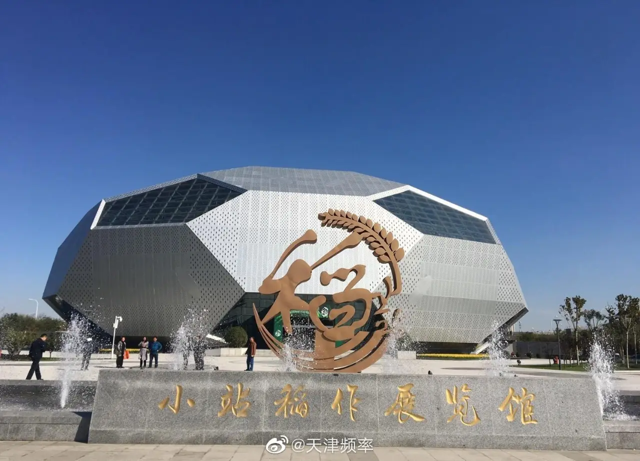 小站稻会馆种植核心区
