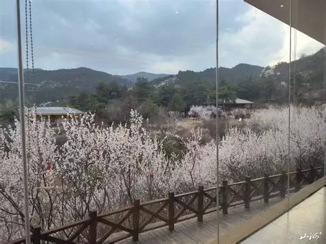 太原杜儿坪桃花沟