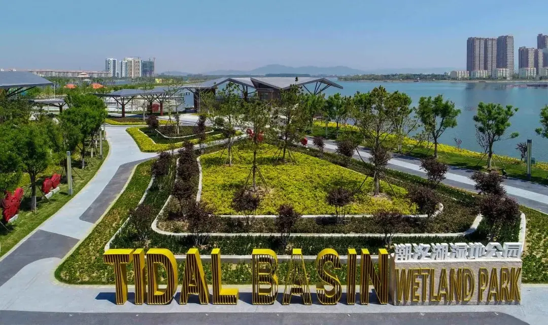 潮汐湖湿地公园