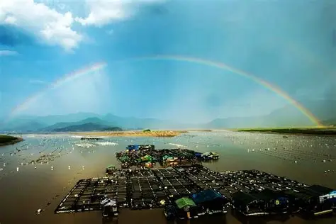 北岐滩涂