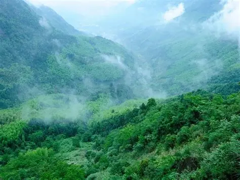 支提山