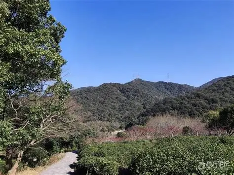 北仑森林植物园