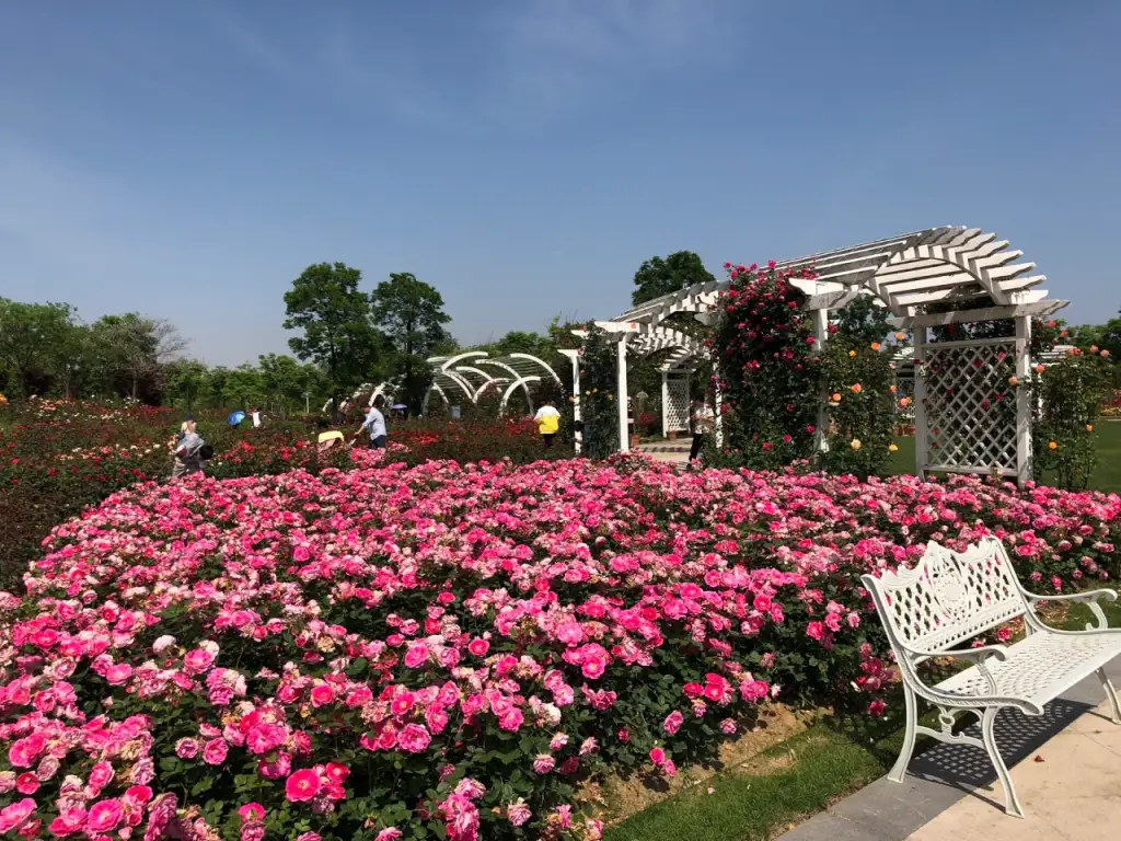 宁波植物园