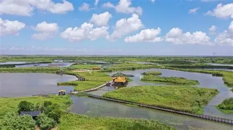 杭州湾国家湿地公园