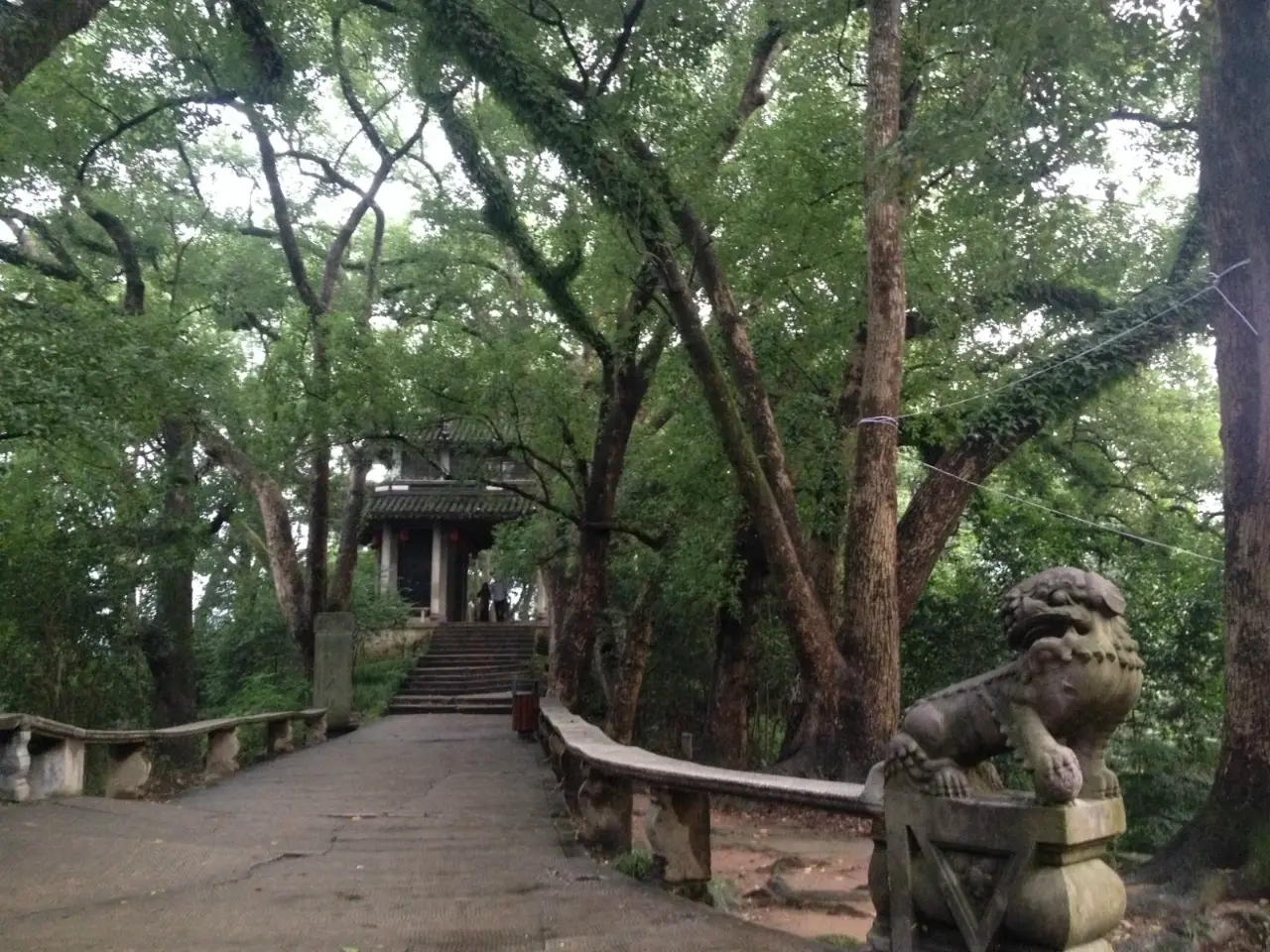 溪口-滕头旅游景区
