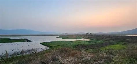 安徽菜子湖国家湿地公园